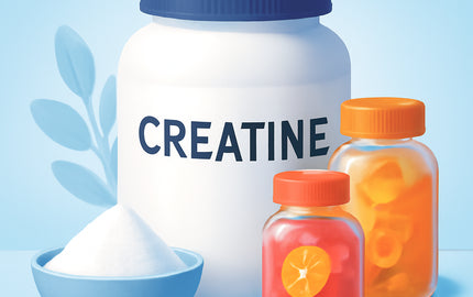 Featured image for How Ekkovision Creatine Monohydrate Boosted My Day